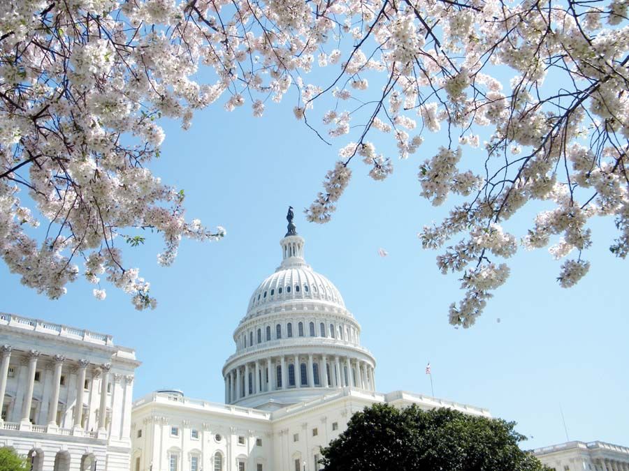 Tavasz Washingtonban: válság után hanyatlás vagy új remény?<br>Fotó: Shutterstock