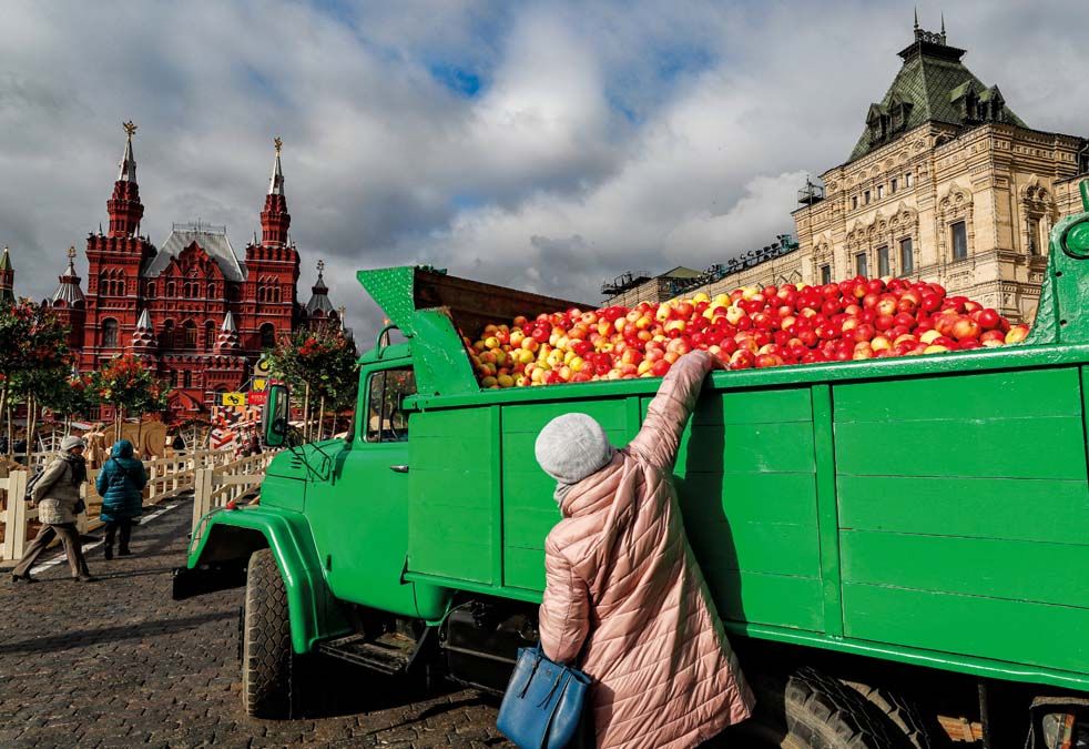 Almát választ egy nő teherautó-platóról az Arany ősz nevű termelői fesztiválon a moszkvai Vörös téren 2019. október 7-én. <br> Fotó: MTI / EPA / Jurij Kocsetkov 