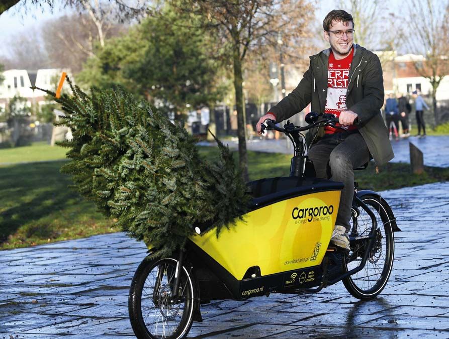 Kerékpárral viszi haza egy férfi a karácsonyfát idén decemberben, amelyet az ünnepek idejére vett bérbe egy utrechti fenyőfakölcsönzőtől. <br> Fotó: MTI / EPA / ANP / Piroschka van de Vouw