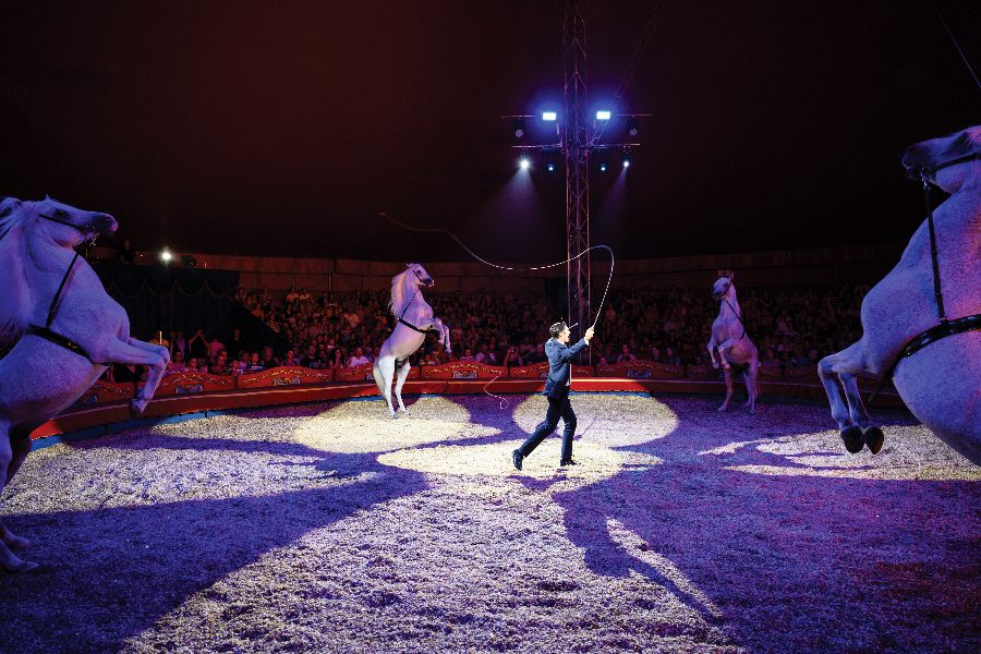 Ifjabb Richter József lovas produkciója a Magyar Nemzeti Cirkusz turnényitó előadásán Balatonlellén <br> FOTÓ: MTI / VASVÁRI TAMÁS 
