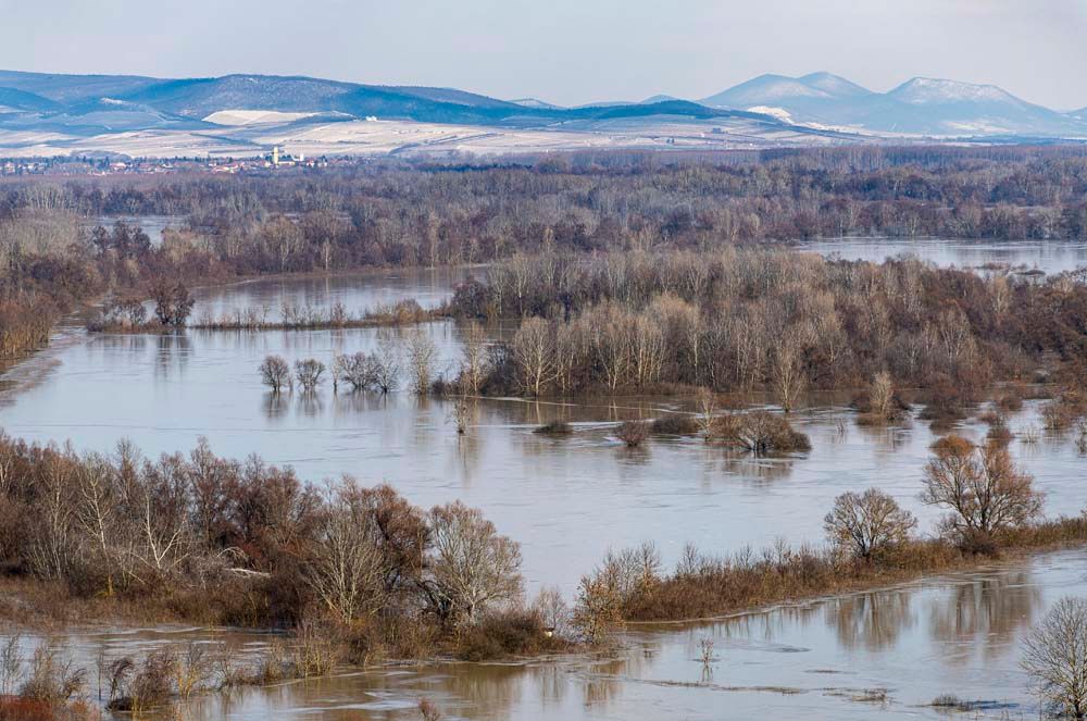Bodrogkeresztúr, 2021. február 13. A megáradt Tisza és Bodrog folyók között elöntött Bodrogköz a bodrogkeresztúri kilátóból fotózva 2021. február 13-án.<br>Fotó: MTI/Balázs Attila
