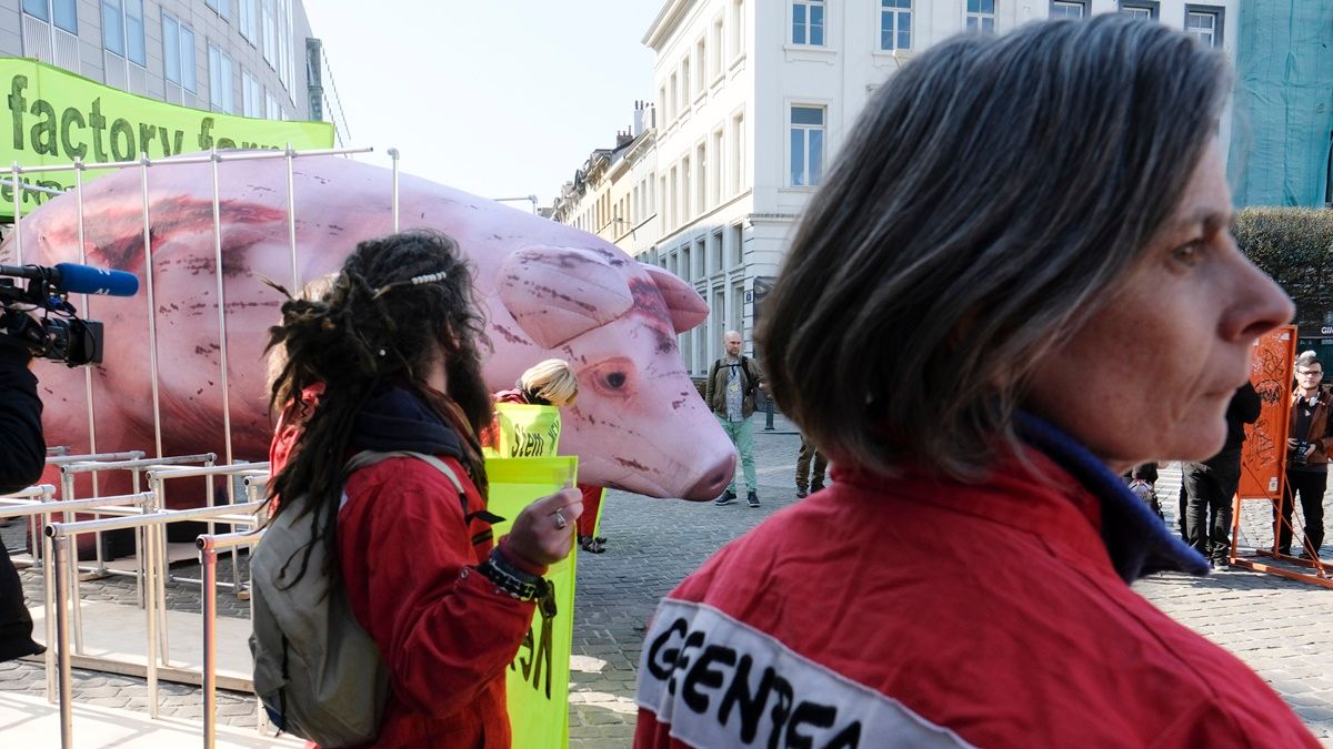 A Greenpeace környezetvédő szervezet aktivistái egy sertés ketrecbe zárt óriásmásával tiltakoznak a nagyüzemi állattartás ellen az Európai Parlament brüsszeli székházánál. MTI/EPA/Olivier Hosle