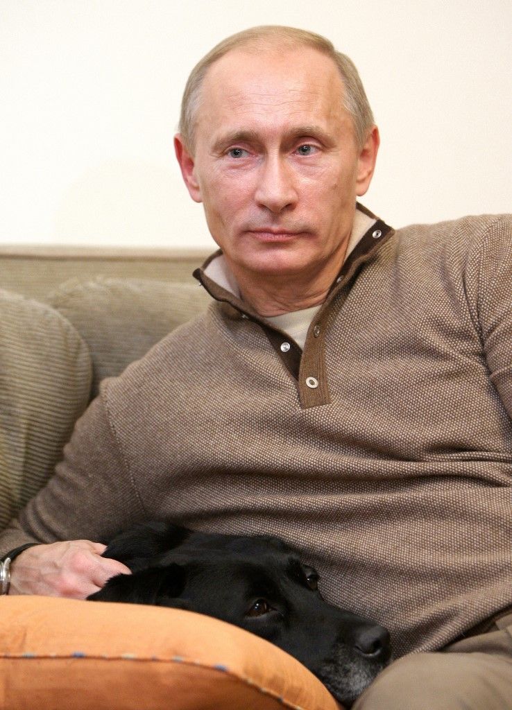 Nem mindenki hagyja hidegen Putyint: Konni, a kedves fekete labrador egy időben az elnök állandó társa volt hivatalos eseményeken is. A kép tanúsága szerint Konni nem csak mókamester, hanem valódi „kanapéspecialista” is volt. Fotó: ALEXEY DRUZHININ / RIA NOVOSTI / AFP