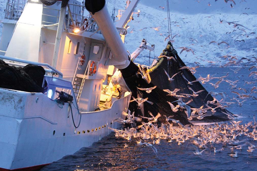 Halászhajó a Kaldfjordban. A közös piaci hozzáférés norvég érdek. <br> Fotó: Shutterstock