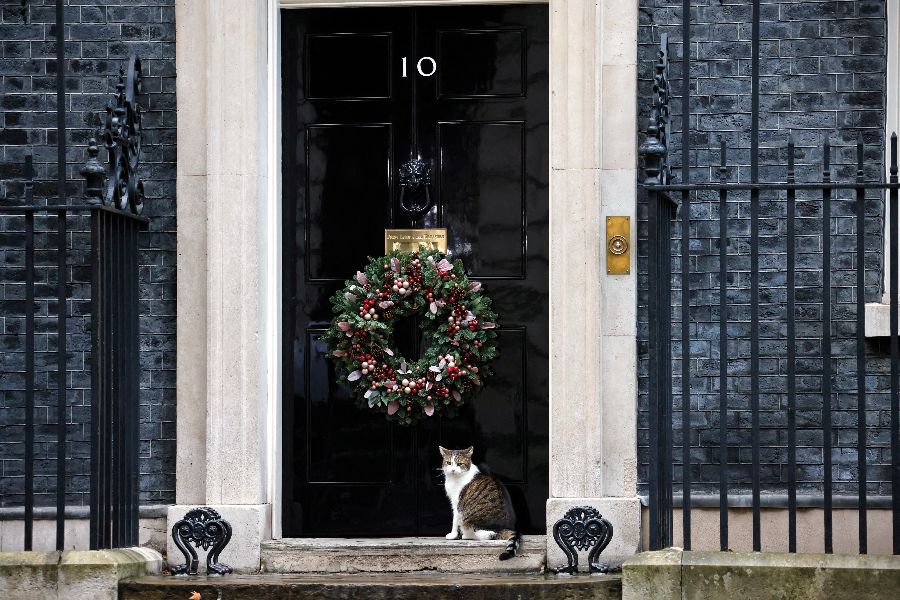 Zajlik az élet: Larry, a Downing Street 10. macskája strázsál <br> Fotó: AFP/Tolga Akmen