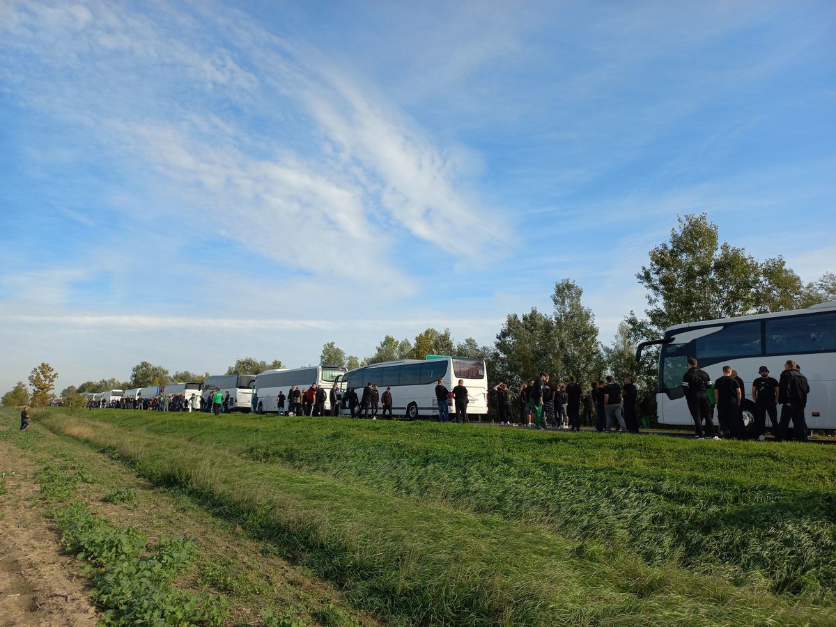 Fradista-konvoj Belgrád felé - még optimistán Fotó: Czövek Oszkár
