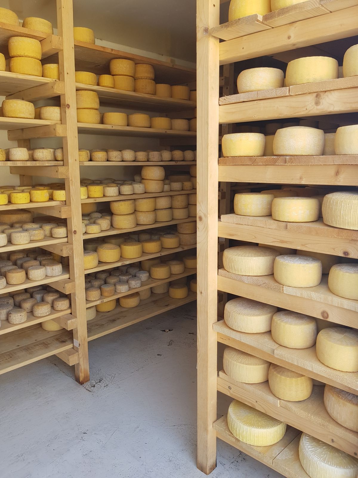 Házi sajtok sorakoznak a börtönből lett raktárban