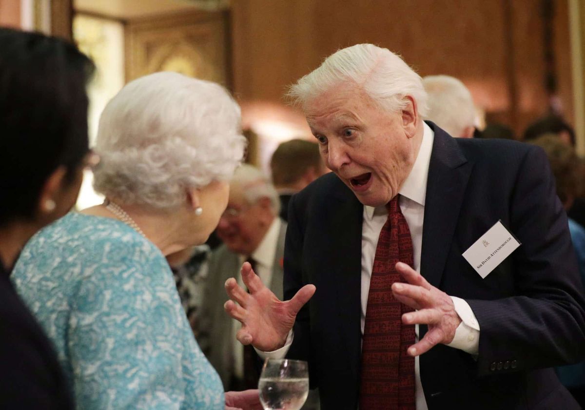 Kép: David Attenborough II. Erzsébettel. Forrás: BBC