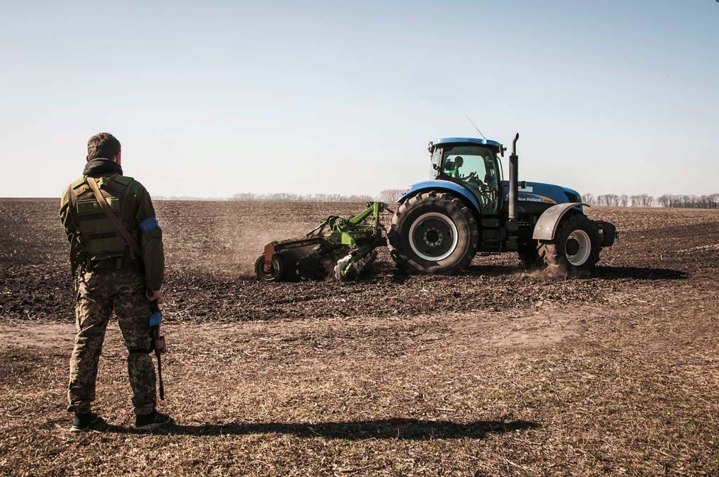 Ukrán katona egy szántóföld szélén <br> Fotó: Shutterstock