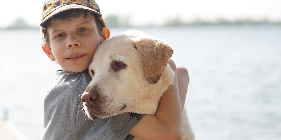 Fogyatékossággal élőkről és segítő kutyáikról szóló könyv jelent meg a 3-12 éves korosztály számára - adta hírül a család.hu.