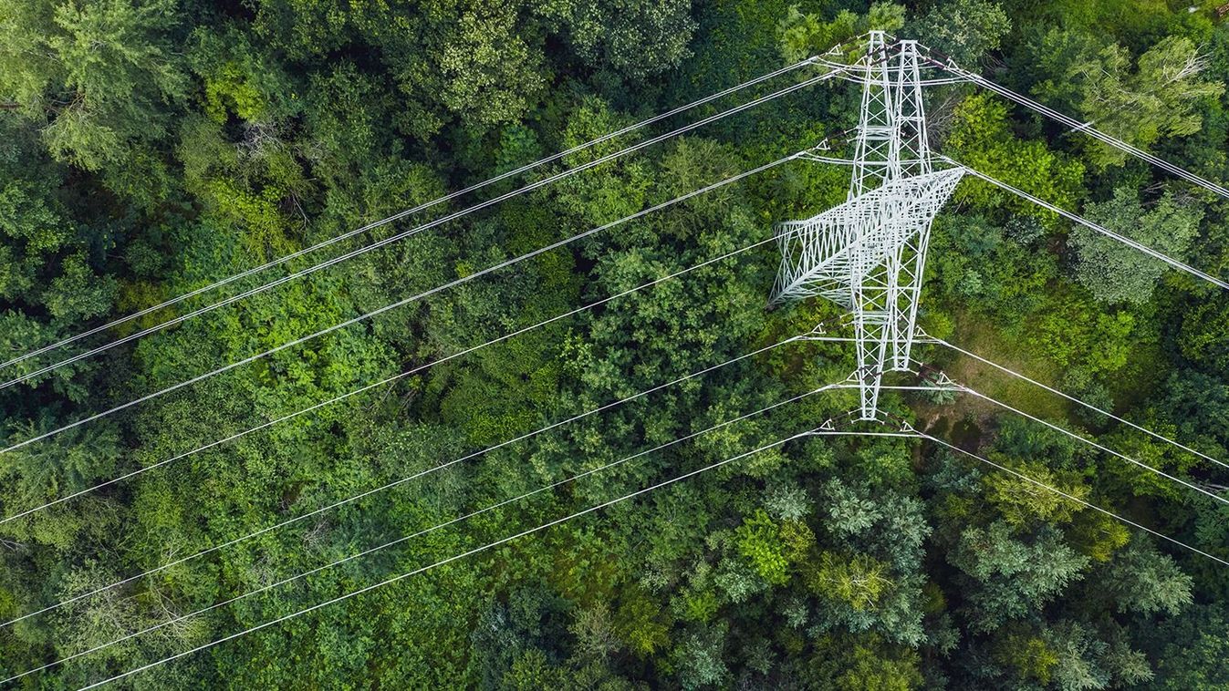 Aerial view of power lines leading through forest.
