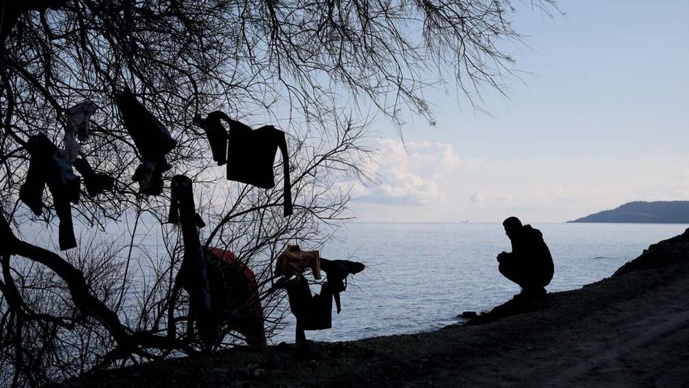 A migrant, who arrived the previous day on a dinghy after crossing part of the Aegean Sea from Turkey, sits next to a tree where clothes are left to dry, near the village of Skala Sikamias, on the island of Lesbos