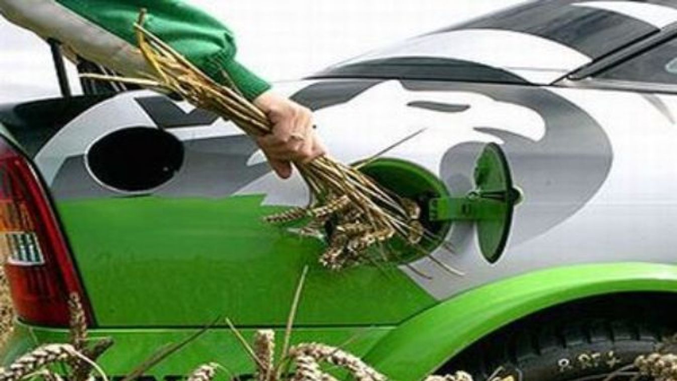 Nem a bioetanol felelős az élelmiszerdrágulásért?