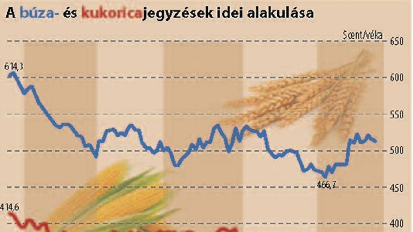 Megbolondítják az árakat az előrejelzések