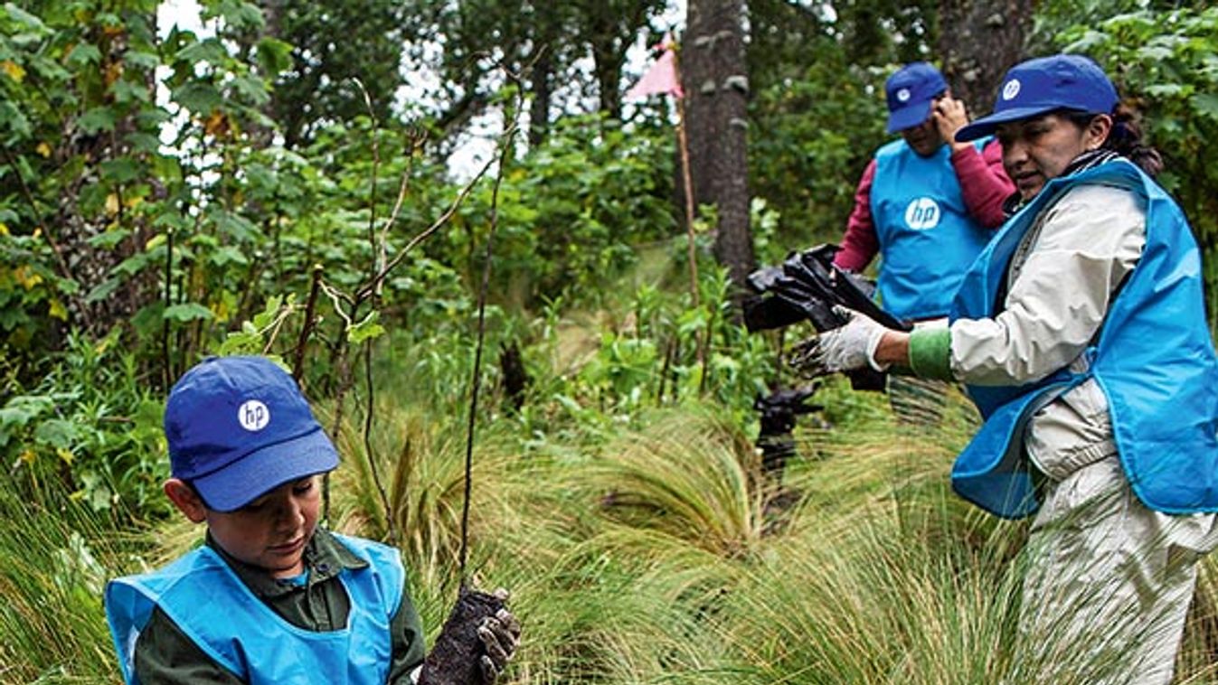 Mexico - Water - Forest - Environment - Mexico City