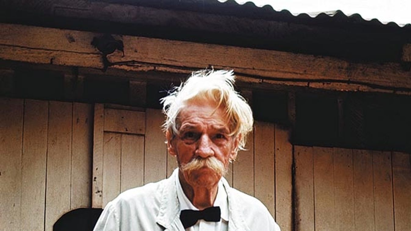 Dr. Albert Schweitzer