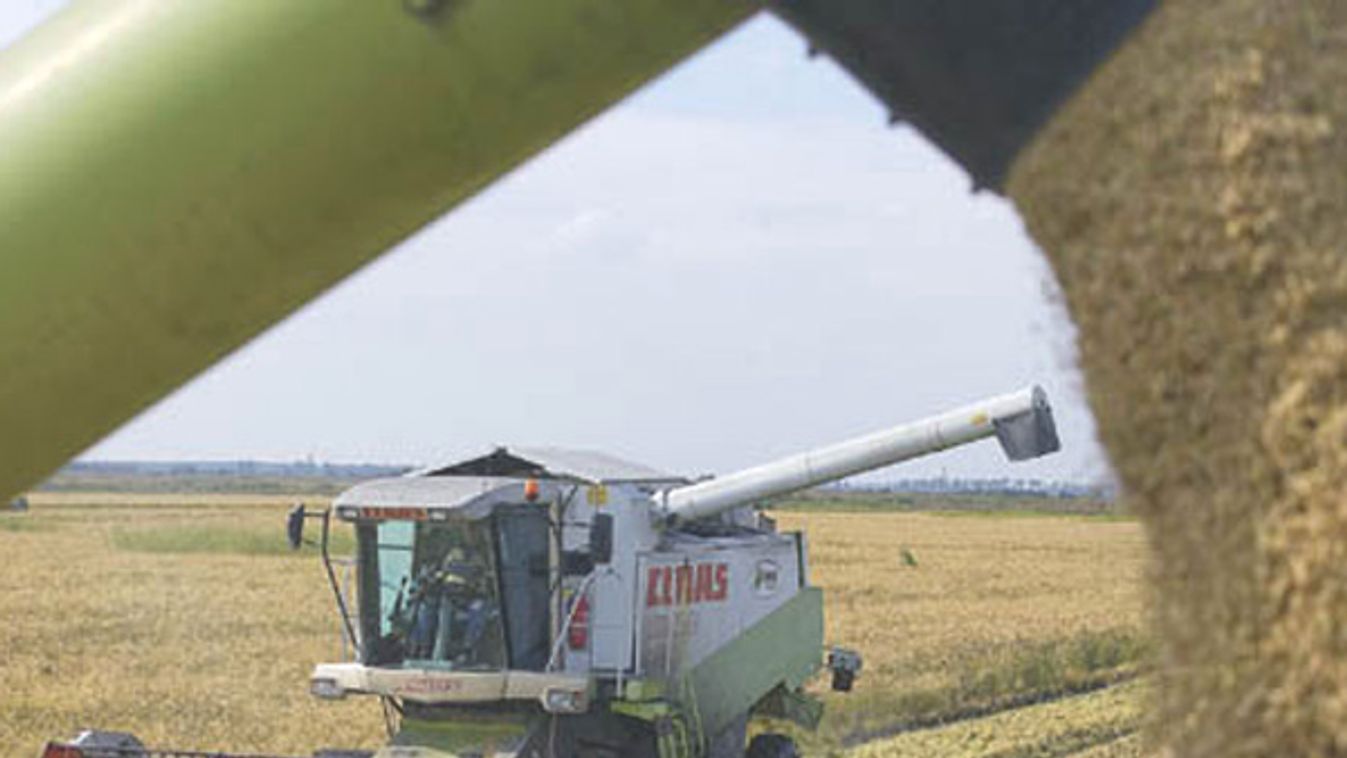 Búzát vesz az állam – indul a gabona háború?