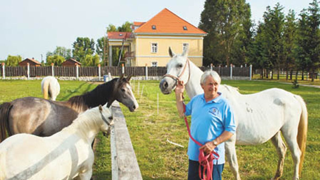 Vendégszoba a lóistállóban