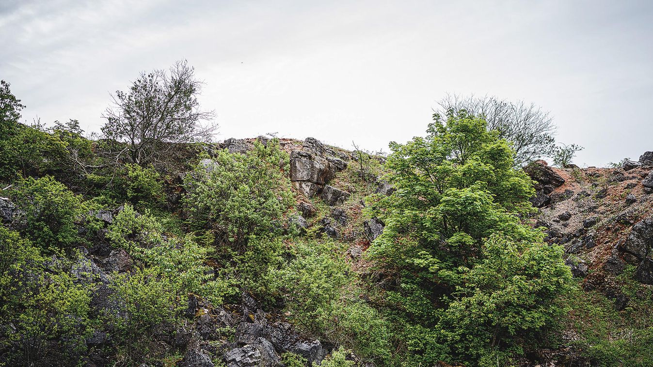 Terra istennő szobrai