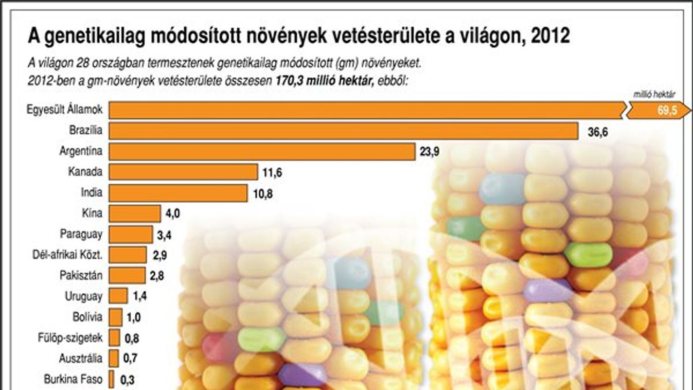 Brazil helyett magyar szóját etetnénk