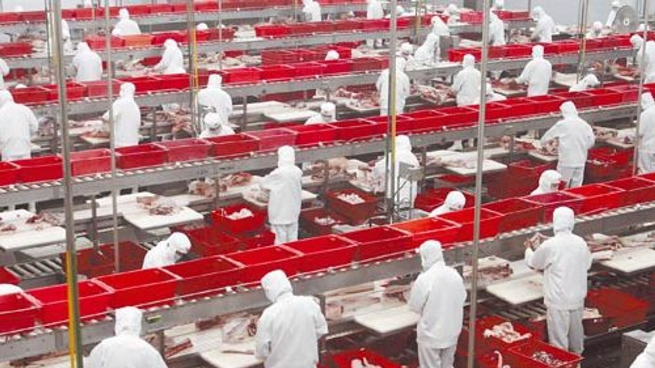 Workers process meat at Shineway Group plant in Luohe city