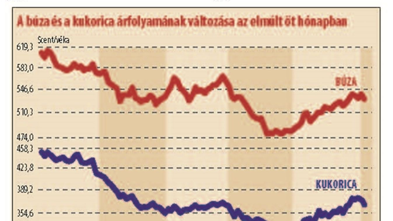 Sorra dőltek a rekordok - Egy gazdag év árnyai