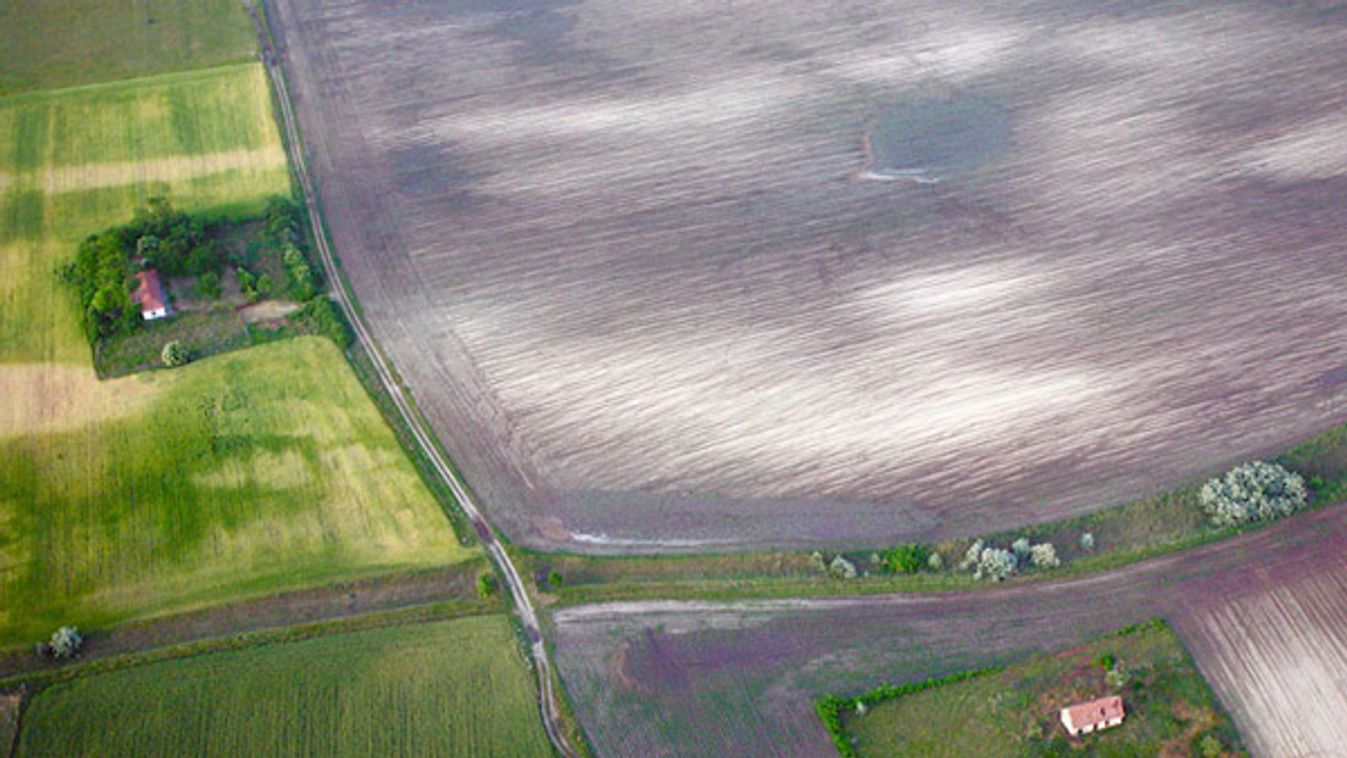 3600-an jogosulatlanul igényeltek agrártámogatást!