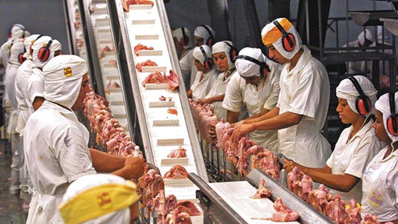 BRAZIL-CHICKEN-EXPORTS