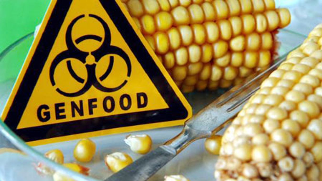 Nem kérünk a GMO-ból!