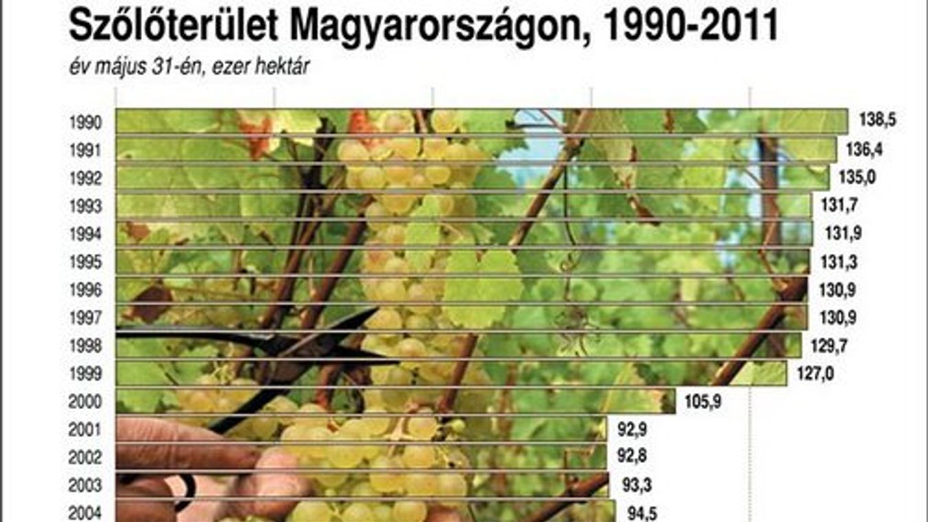 Új törvény: ne csökkenjen a magyar szőlőterület!