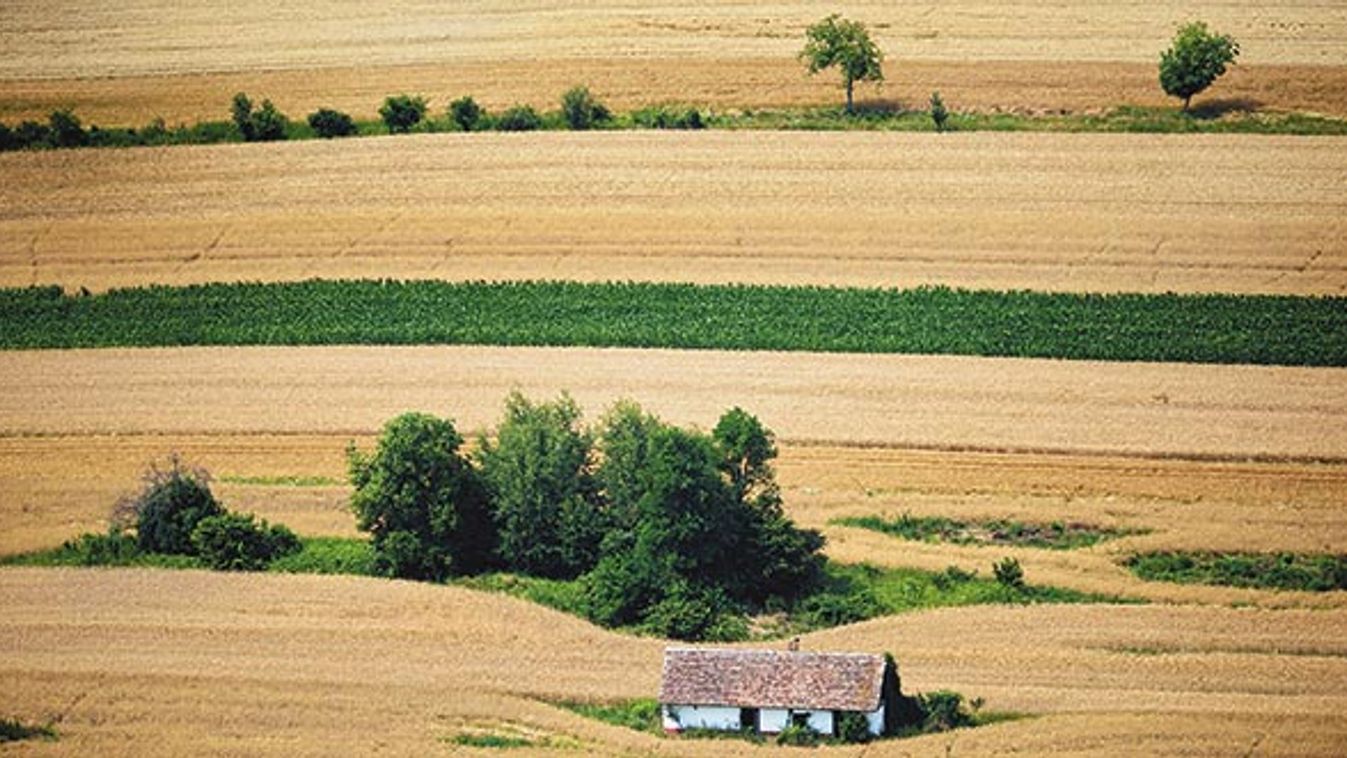 Milliókra pályázhatnak - Még egy hétig nyitott a lehetőség!