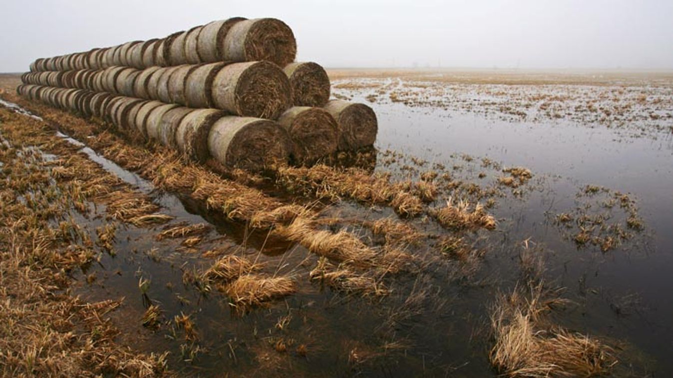 Milliárdos károk az agráriumban