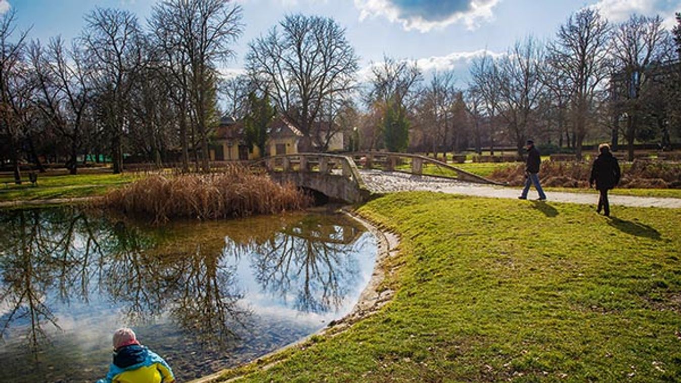 Rozsdakertből rózsakert