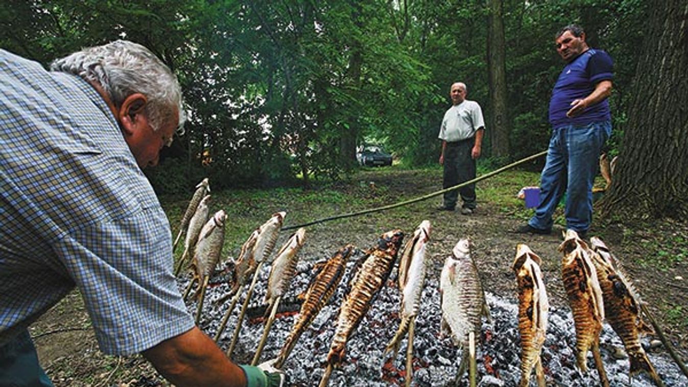 Tegyük fel az i-re a pontyot