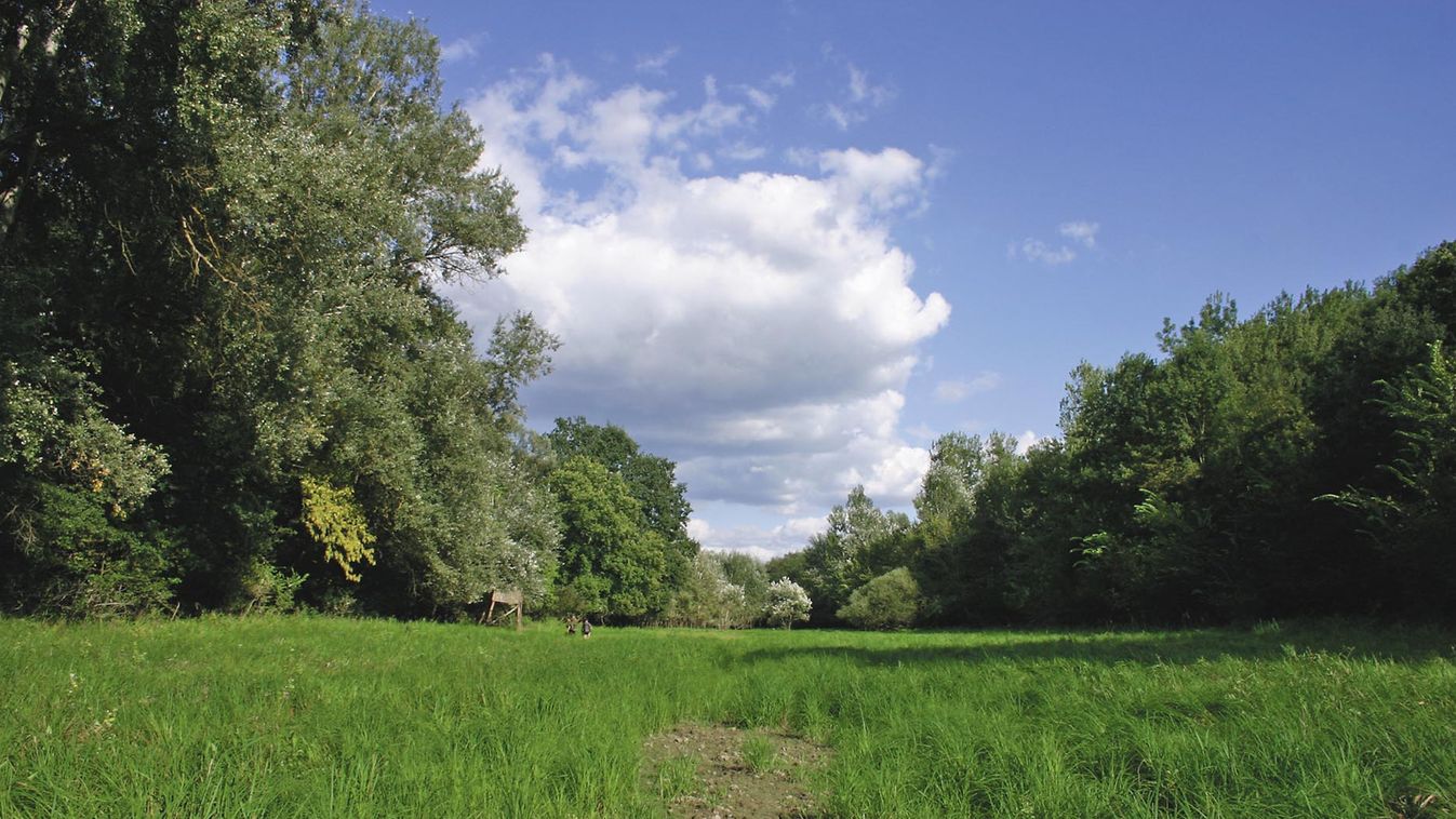 Duna-Dráva Park – a természet negyedszázados múzeuma