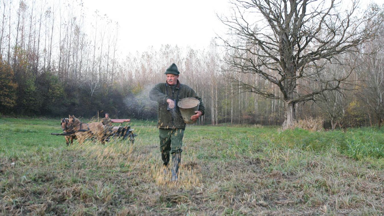 Naponta 20-25 tonnát esznek a vadak