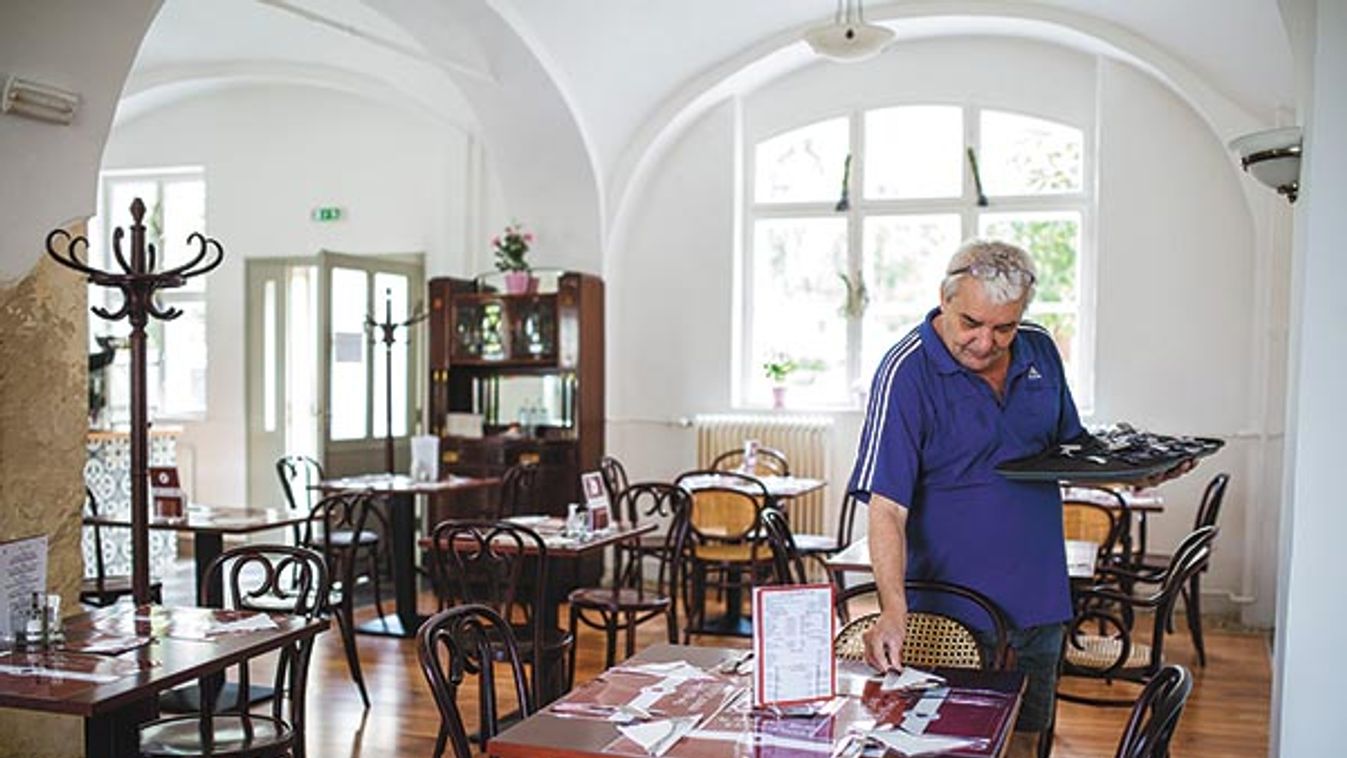 Nevető hétpöttyösök segítik a hatpöttyöst - Szárnyaló katicák