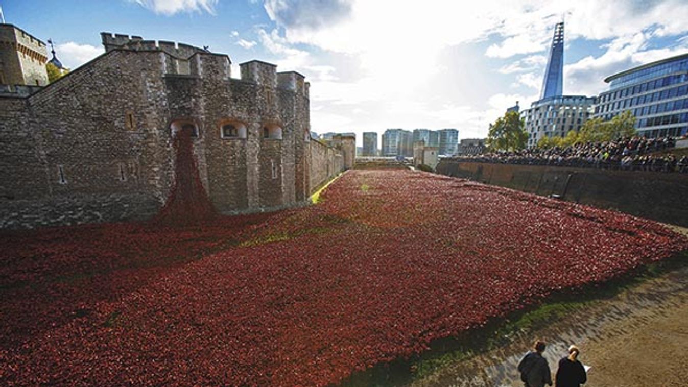 Ceramic poppy field near Tower of London