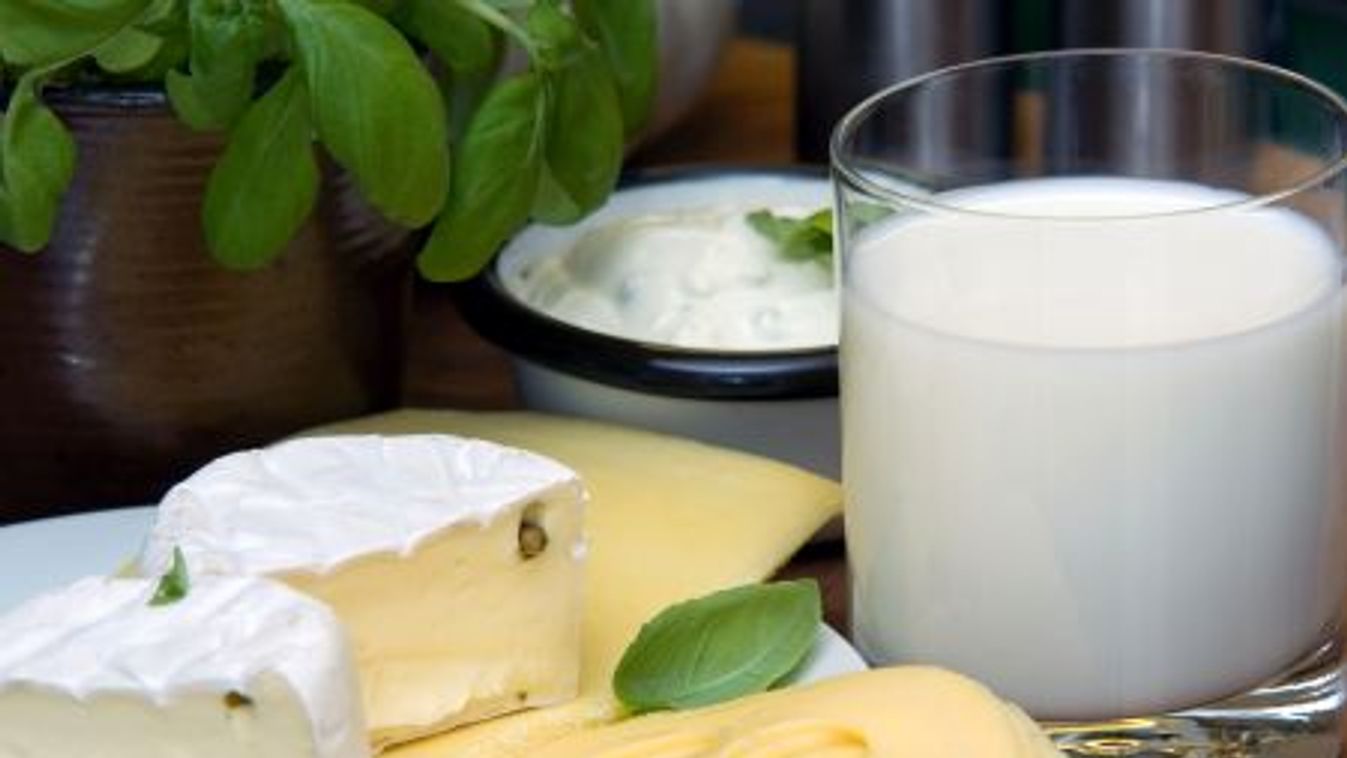 Milch und Molkereiprodukte