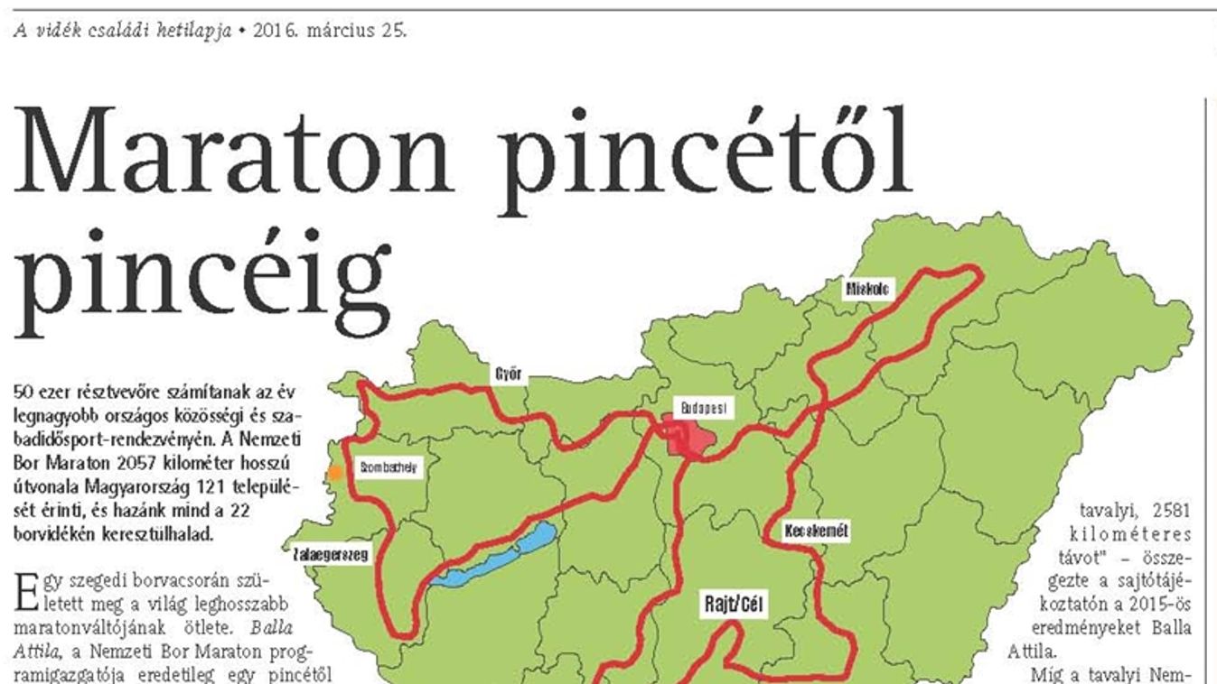 Maraton pincétől pincéig