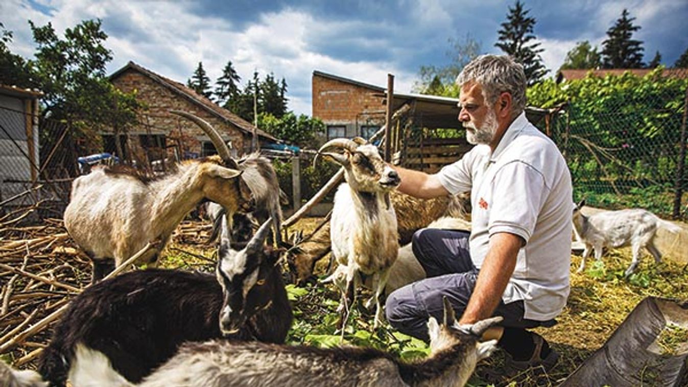 Benépesült az állatfarm