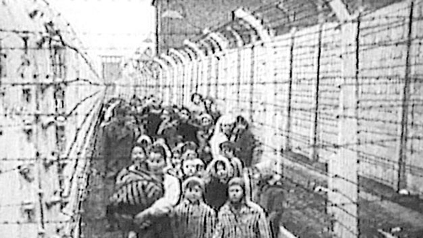 Mengele-ikrek