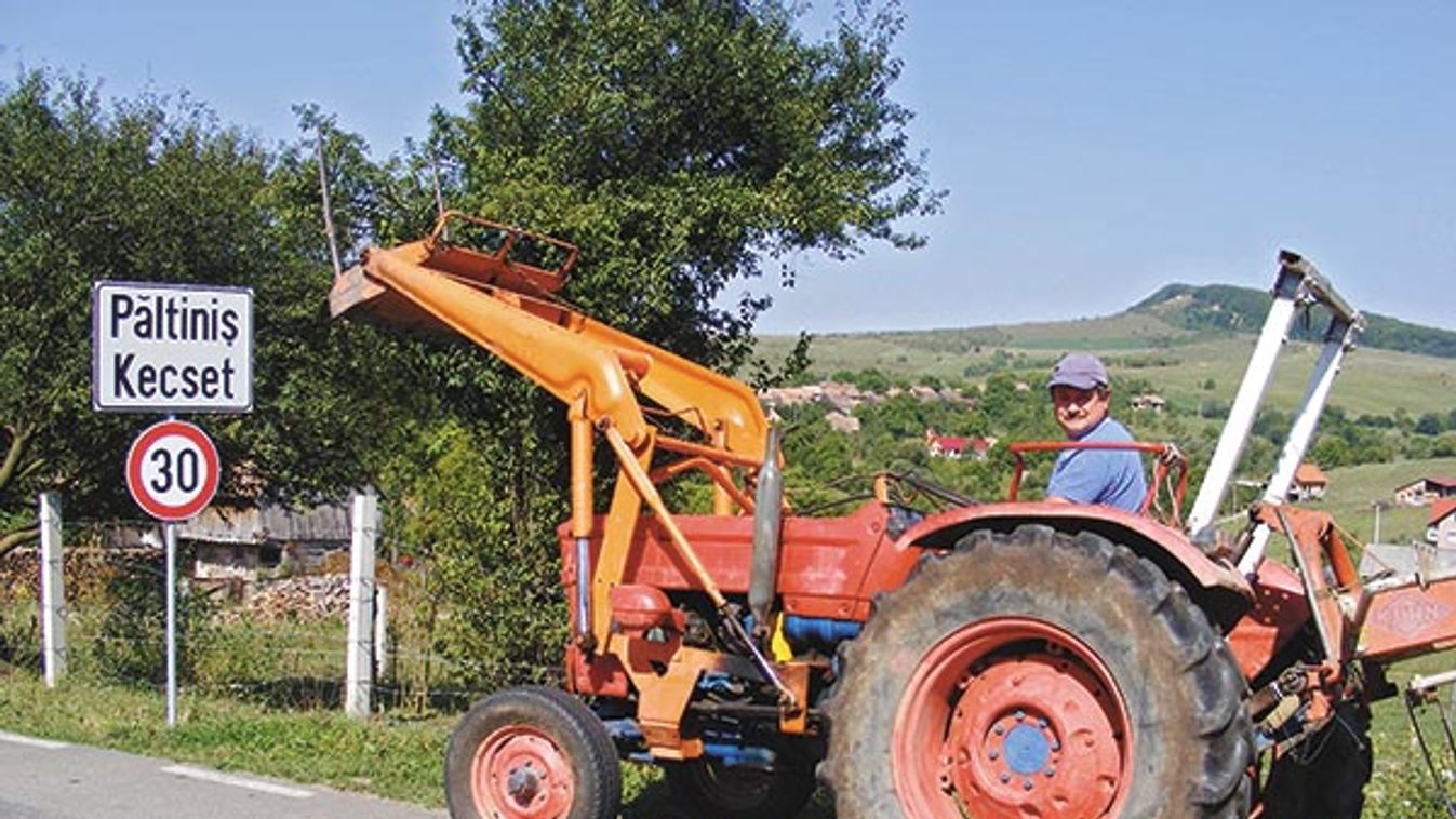 Lóra ültek a gyerekek