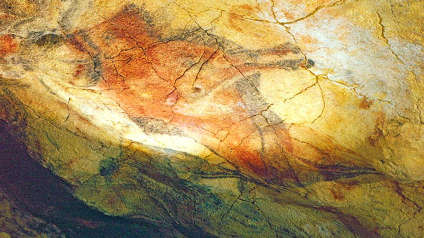 The cave paintings are twelve- to fifteen-thousand years old