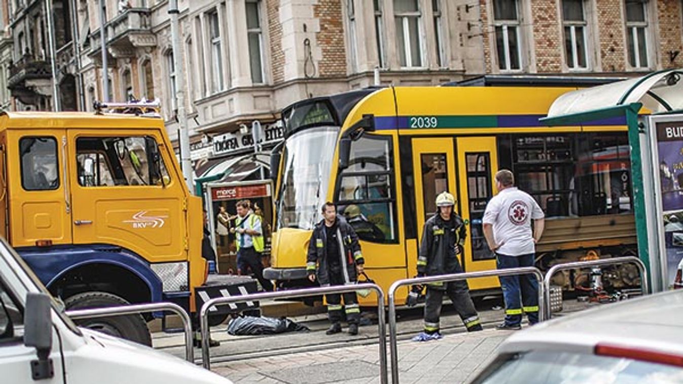 Régóta féltek a &apos;köpködős-rugdosóstól&apos;, a gyilkosság után indult el a lavina