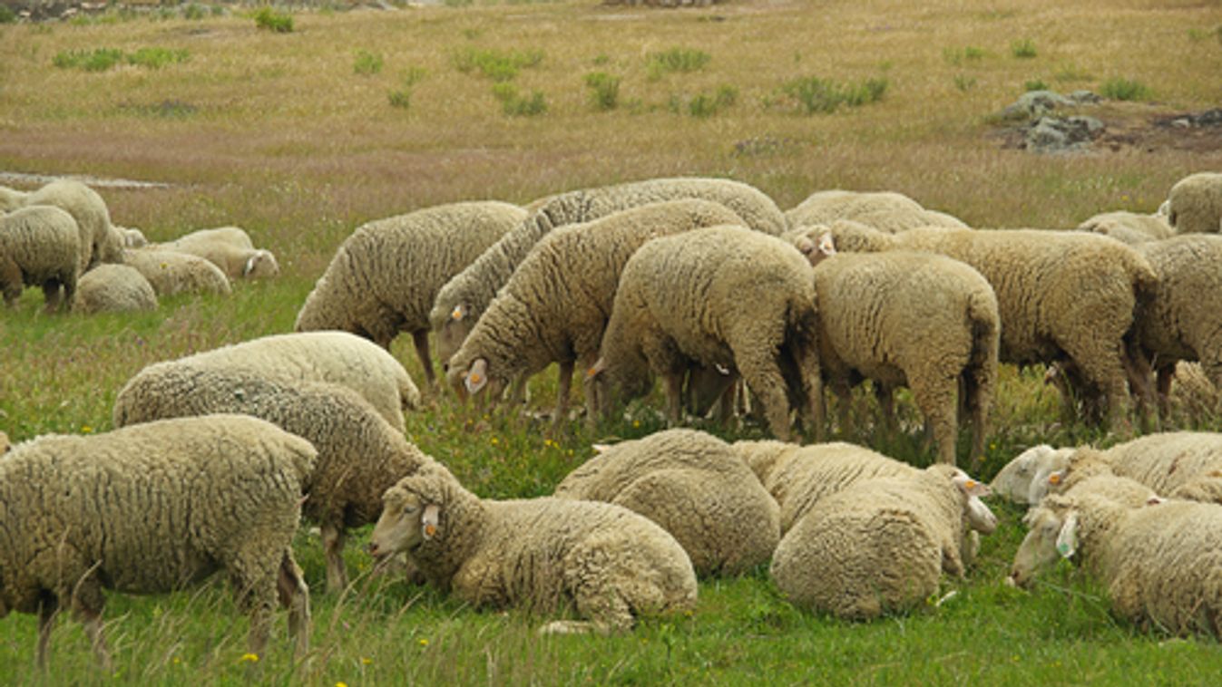 Tízből kilencen odavagyunk az agráriumért