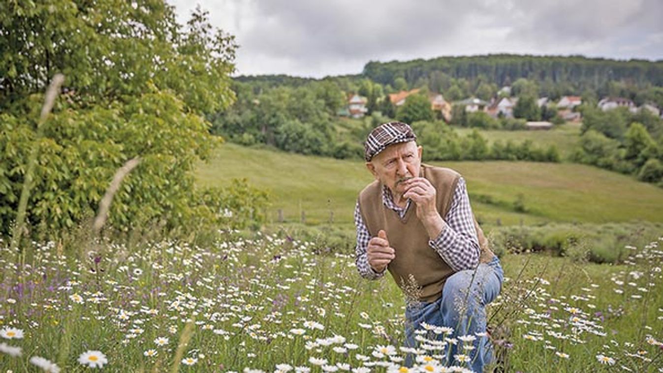 Ami ellen nincs orvosság