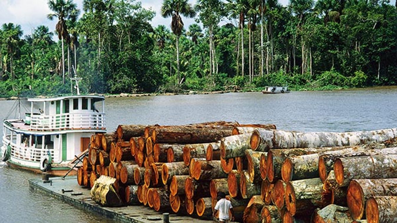 Barge loaded with rainforest logs in the Amazon River, Para, Brazil