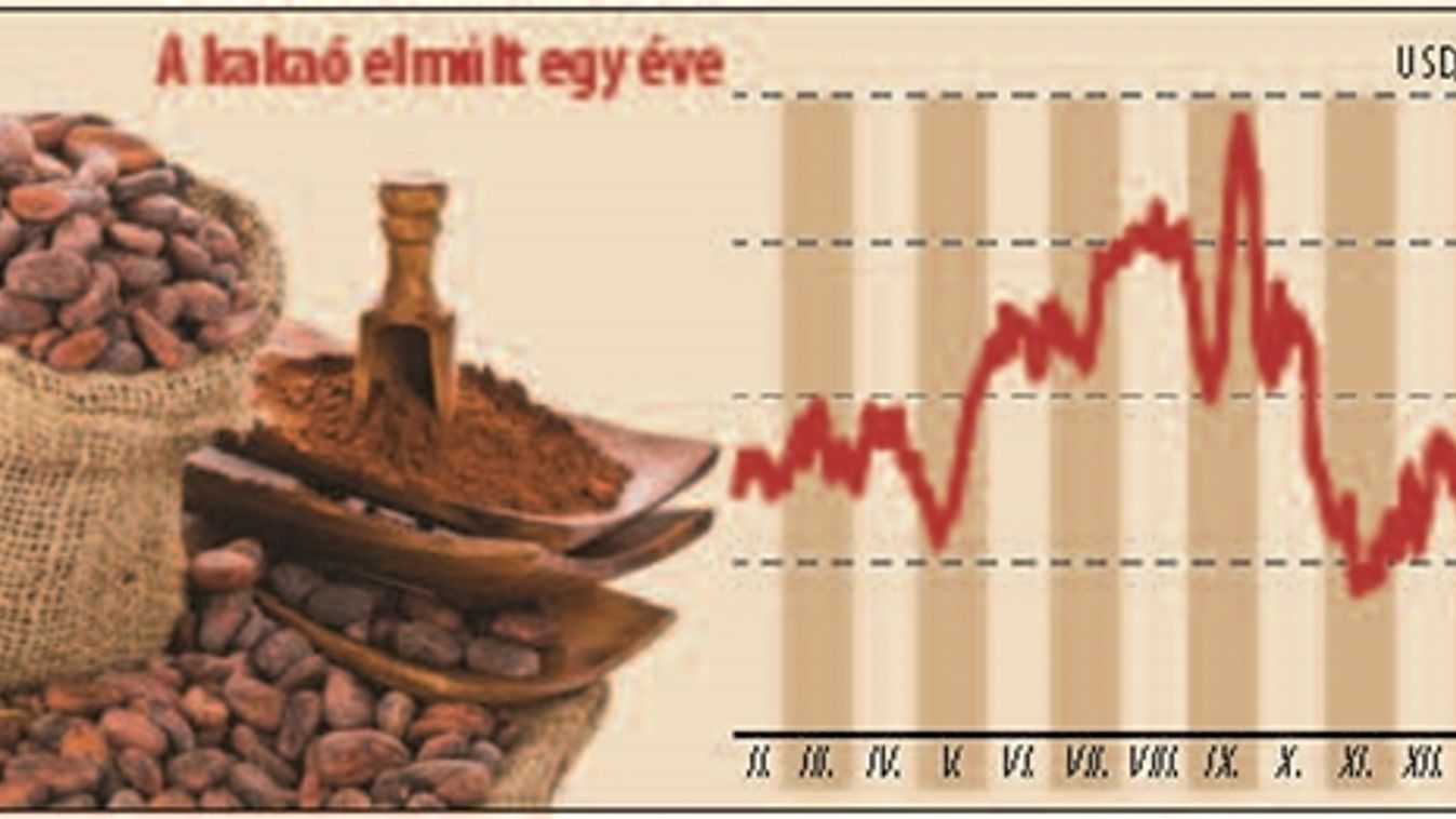 Sok kakaó, nagy foci?