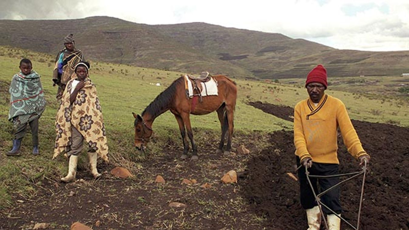 LESOTHO-WAITING FOR SEEDS